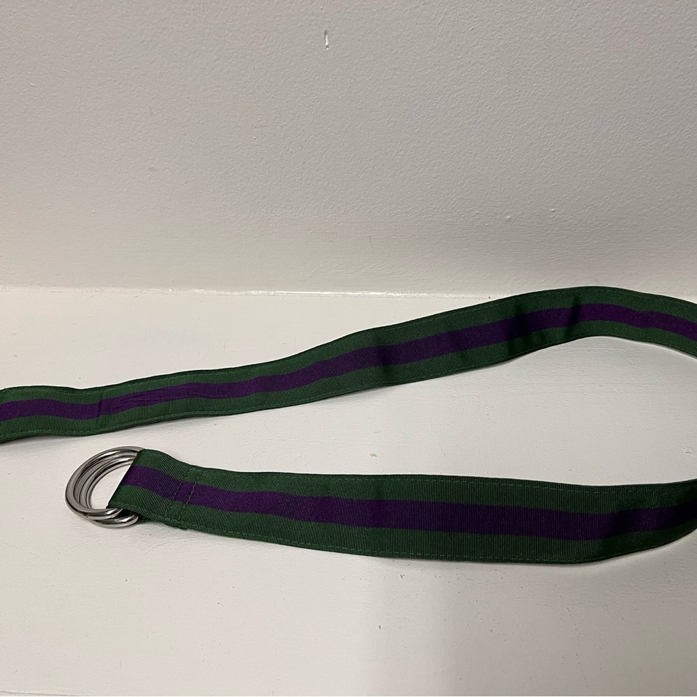 Vineyard Vines Green and Purple Belt with Silver Rings